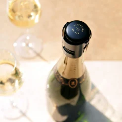 Bouchon Gard'Bulles Metal Metal/ Pour Champagne Et Vins Petillants - L'Atelier Du Vin