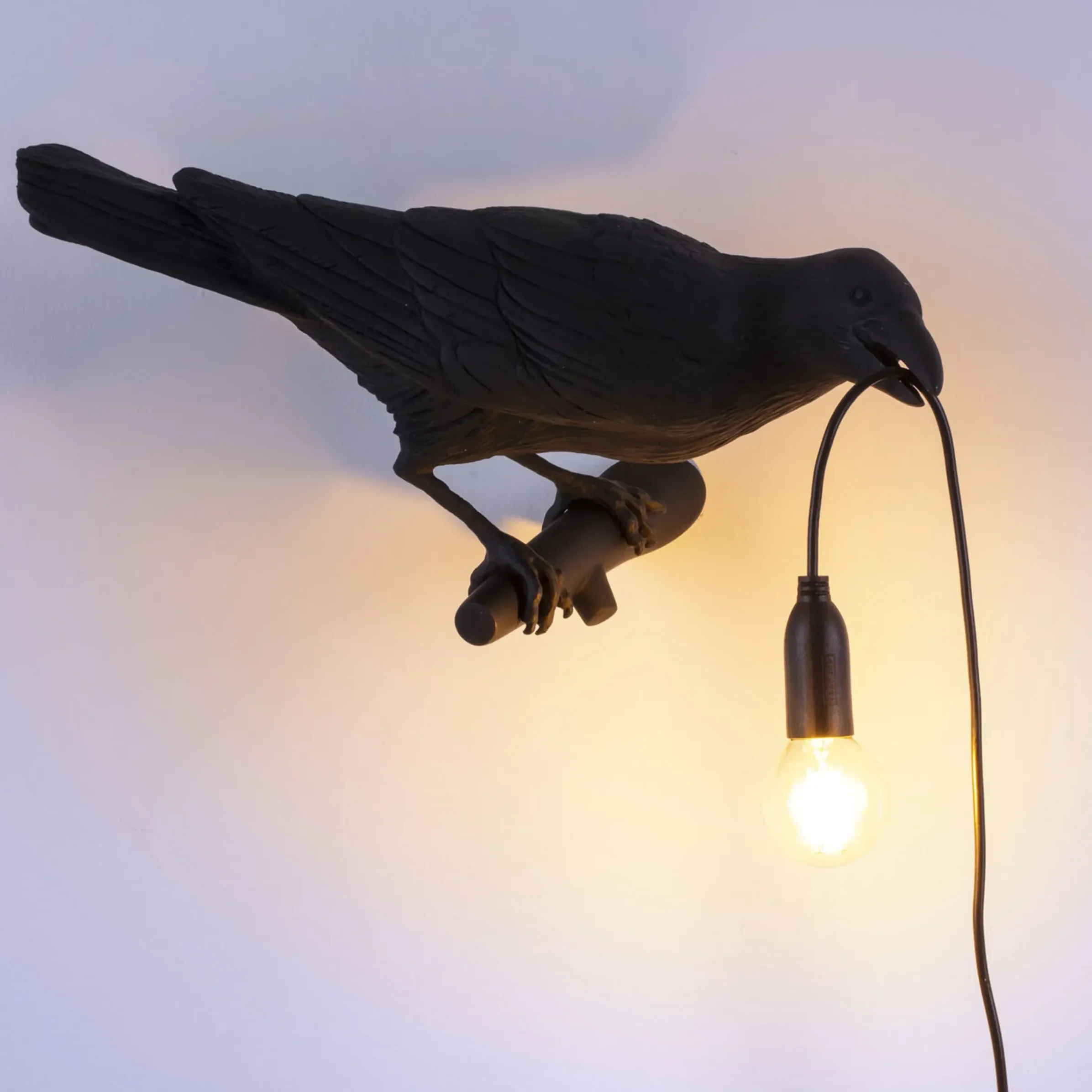 Applique D'extérieur Avec Prise Bird Looking Right Plastique Plastique / Outdoor - Seletti