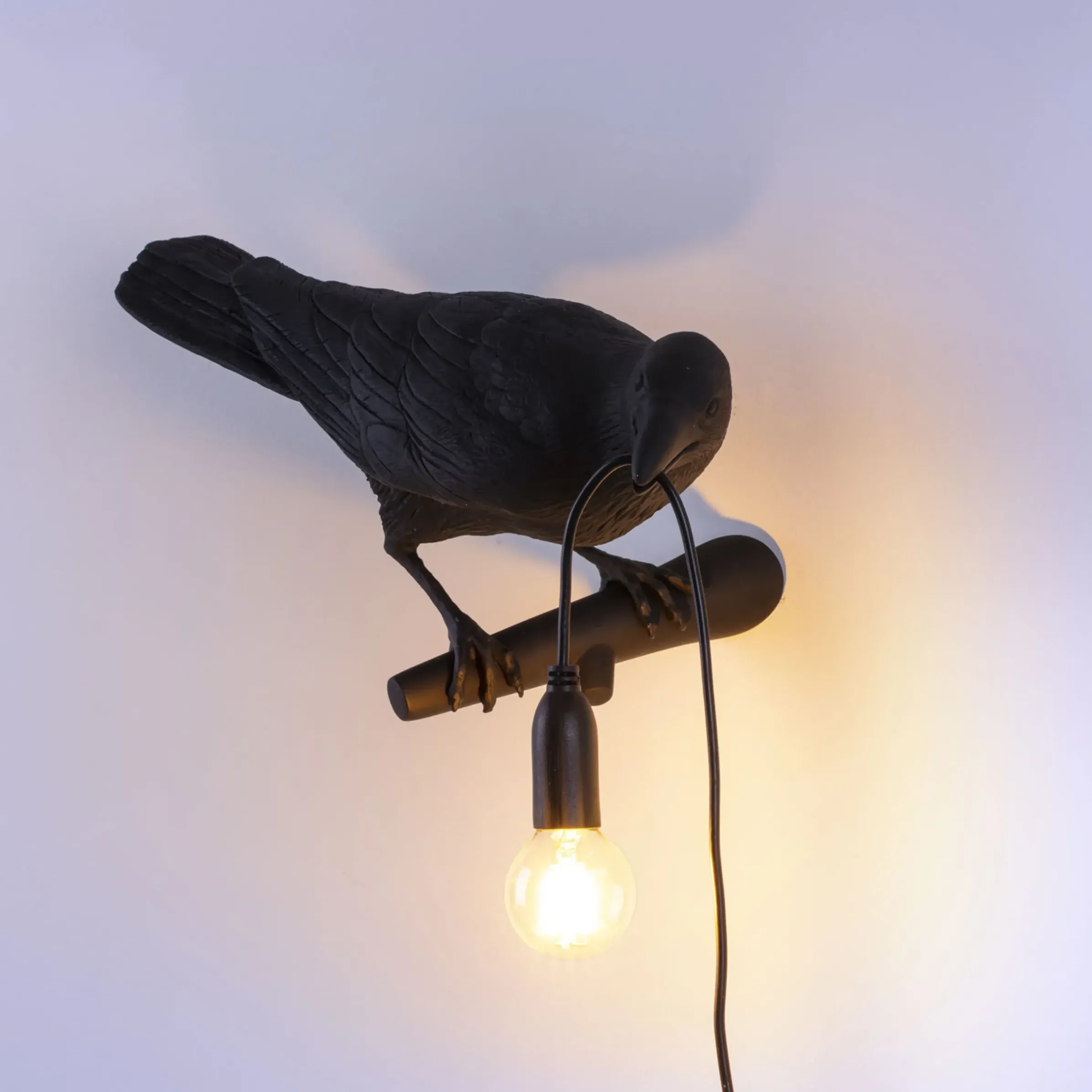 Applique D'extérieur Avec Prise Bird Looking Right Plastique Plastique / Outdoor - Seletti