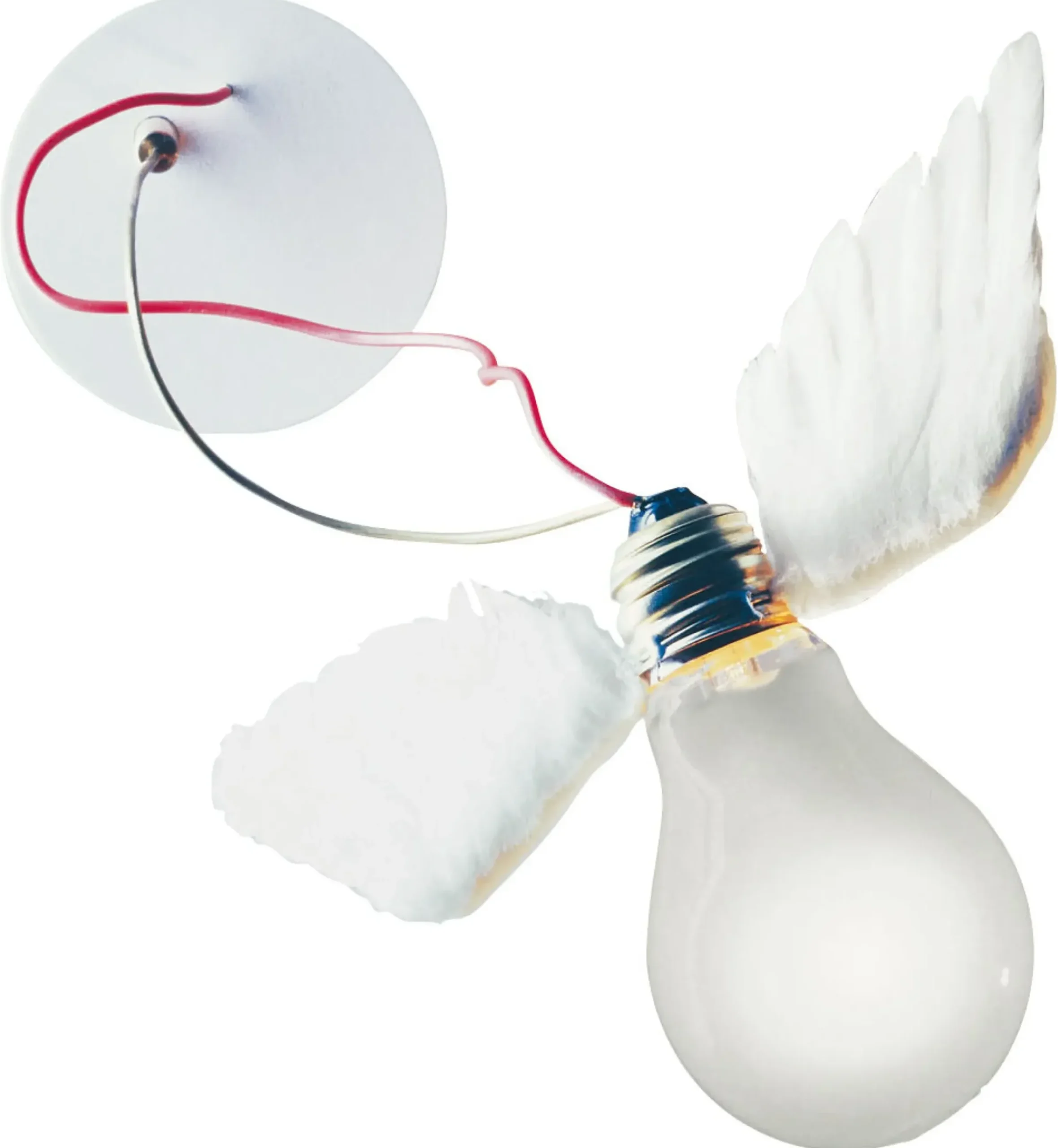 Applique Lucellino Nt Led Metal Blanc - Ingo Maurer