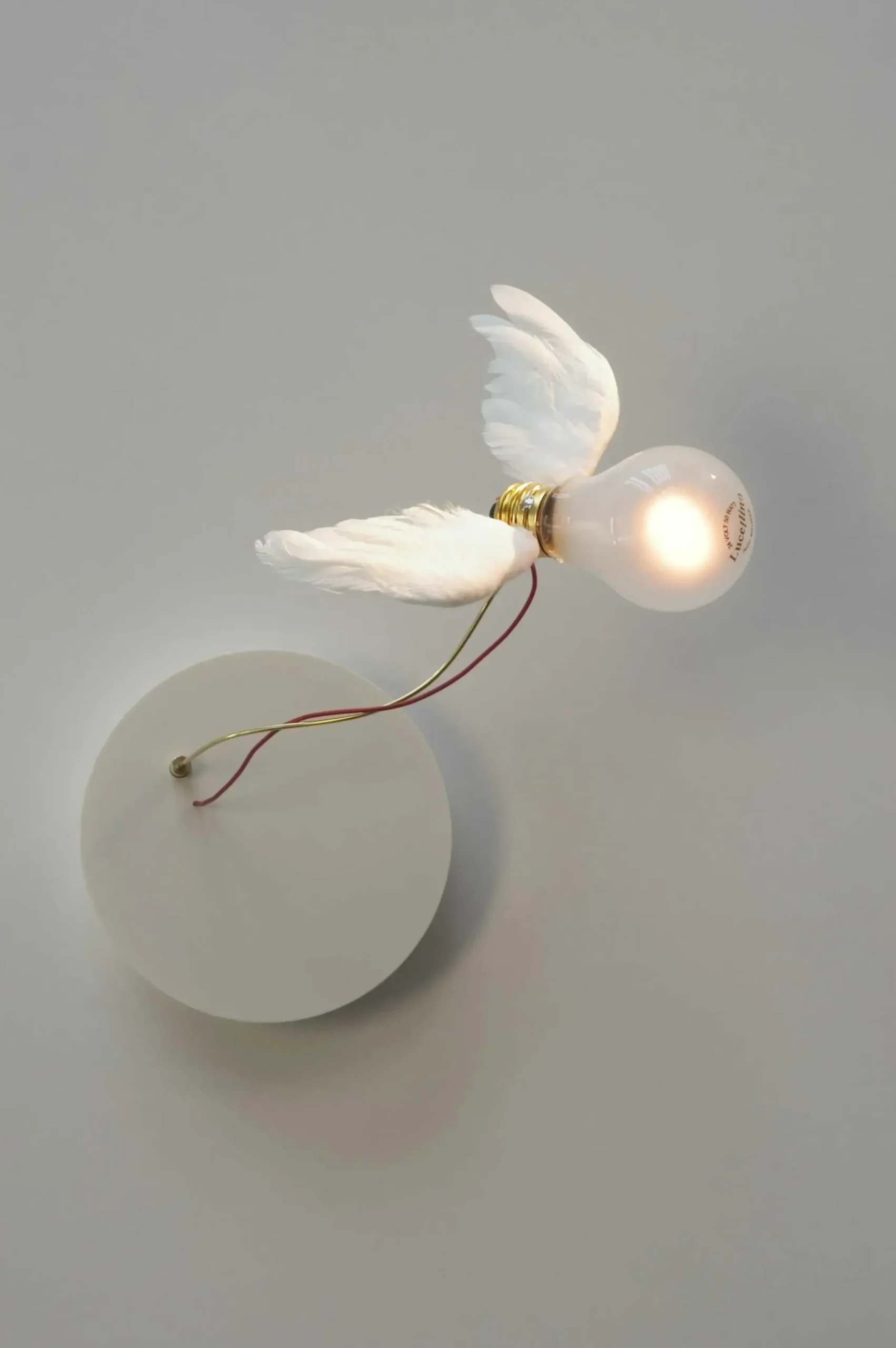 Applique Lucellino Nt Led Metal Blanc - Ingo Maurer