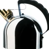 Bouilloire  Metal Version- Alessi