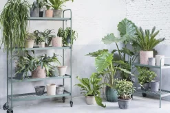 Desserte Babylon Metal Vert / Pour Plantes - Serax