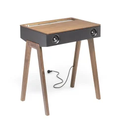 Enceinte Bluetooth Lx Noir Bois Naturel / Bureau - Enceinte Active Haute-Fidelite Tout-En-Un - La Boite Concept