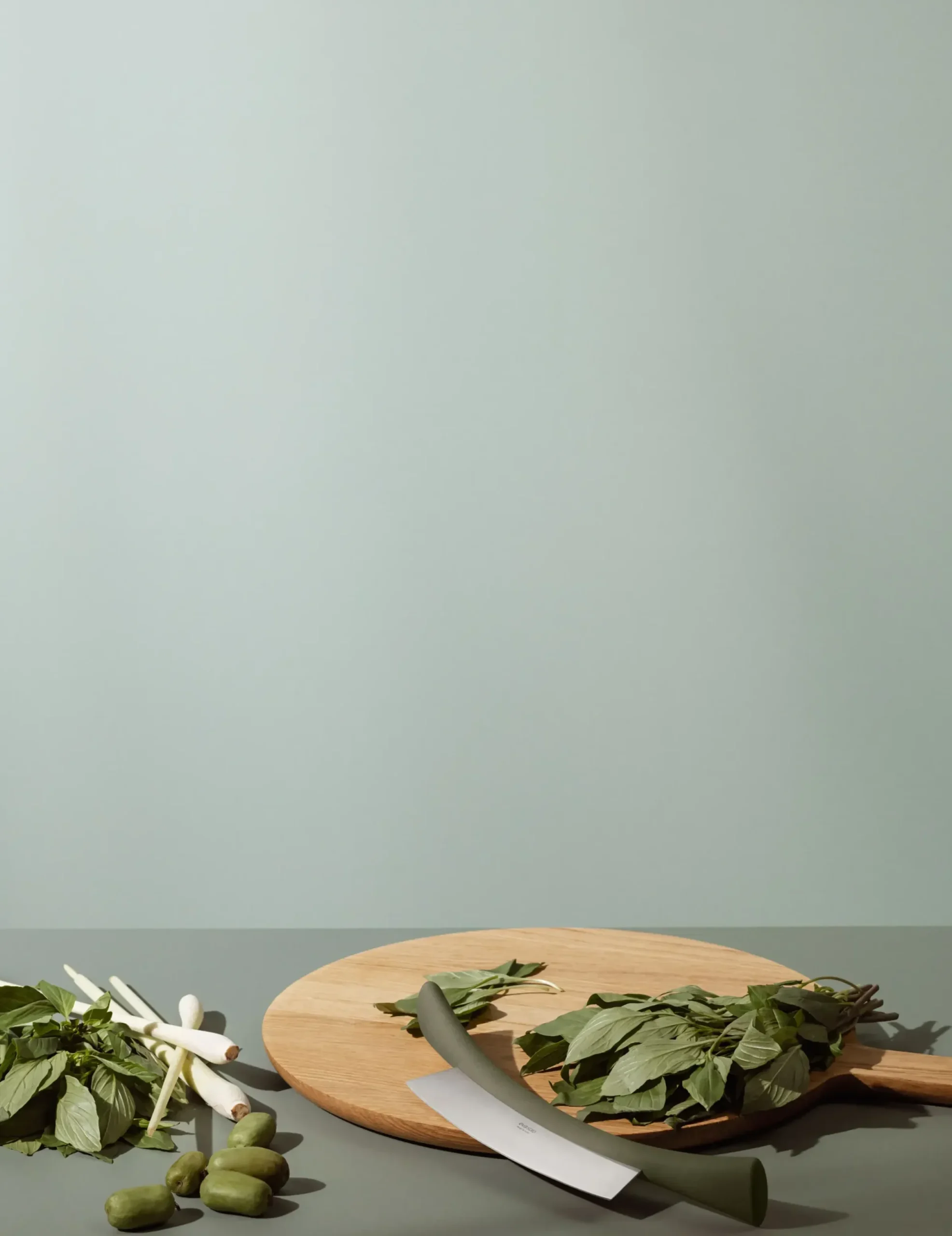 Hachoir A Herbes Green Tool Plastique Vert - Eva Solo