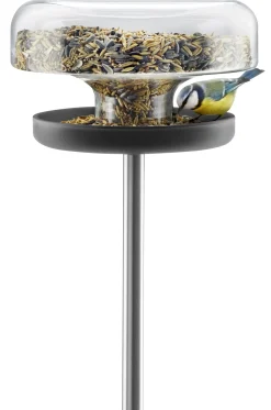 Mangeoire A Oiseaux  Metal Verre Transparent / Sur Pied - Eva Solo