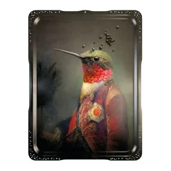 Plateau Plastique / Tableau Mural - Ibride