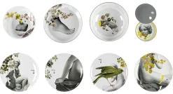 Service De Table Yuan Parnasse Plastique Multicolore /8 Pieces Empilables - Ibride