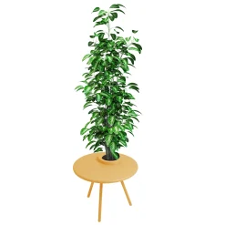 Table Basse Bakkes Outdoor Metal Jaune / O 60 Cm - Pot De Fleurs Integre / Acier - Fatboy