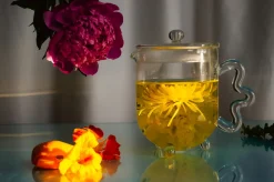 Theiere Bloom Verre/ 600 Ml - Sophie Lou Jacobsen